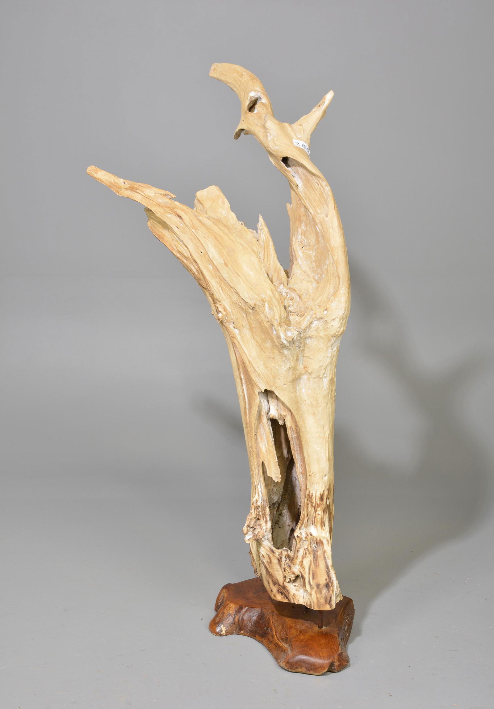 Bleached Teak Root Sculpture (1 of 5)