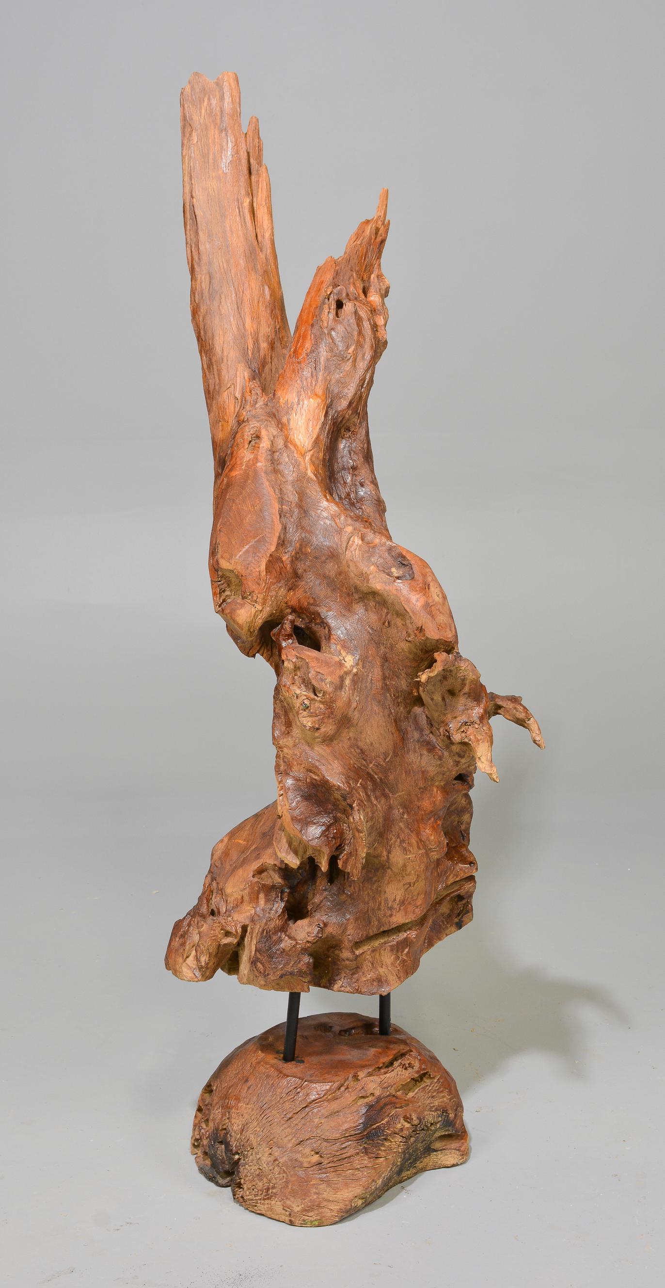 Teak Root Sculpture on Stand (1 of 5)