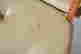 item-124635509=4