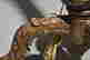item-125142401=4