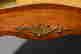 item-125384226=4