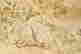 item-125384249=2