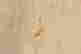 item-125384249=5