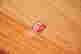 item-126107904=4