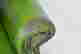 item-126931473=3