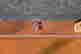 item-128889512=3