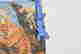 item-129551912=5