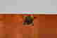 item-130637562=4