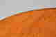 item-131041156=4