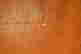 item-131041156=5