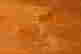 item-131041174=3