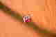 item-131041227=3