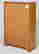 item-131041241=3