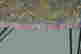 item-131350388=4