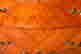 item-131872634=2
