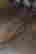 item-134075520=3