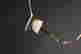 item-134975204=2