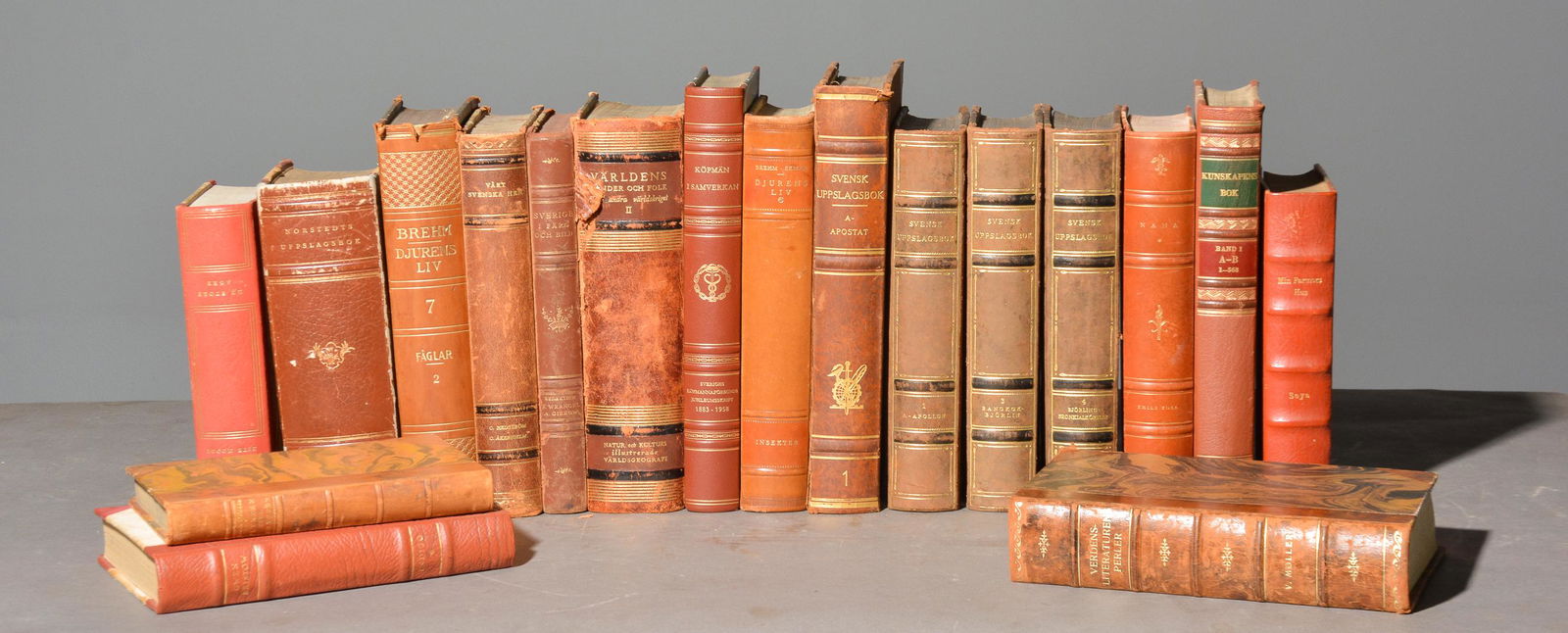 18 Assorted Leather Bound Swedish Books (1 of 6)