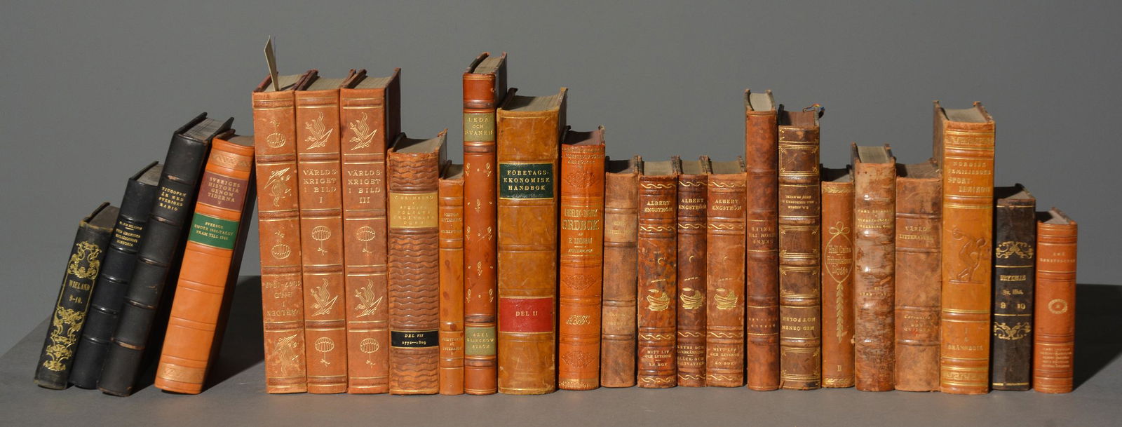 24 Assorted European Leather Bound Books (1 of 6)