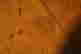 item-136672824=6
