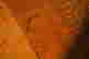 item-136672824=7