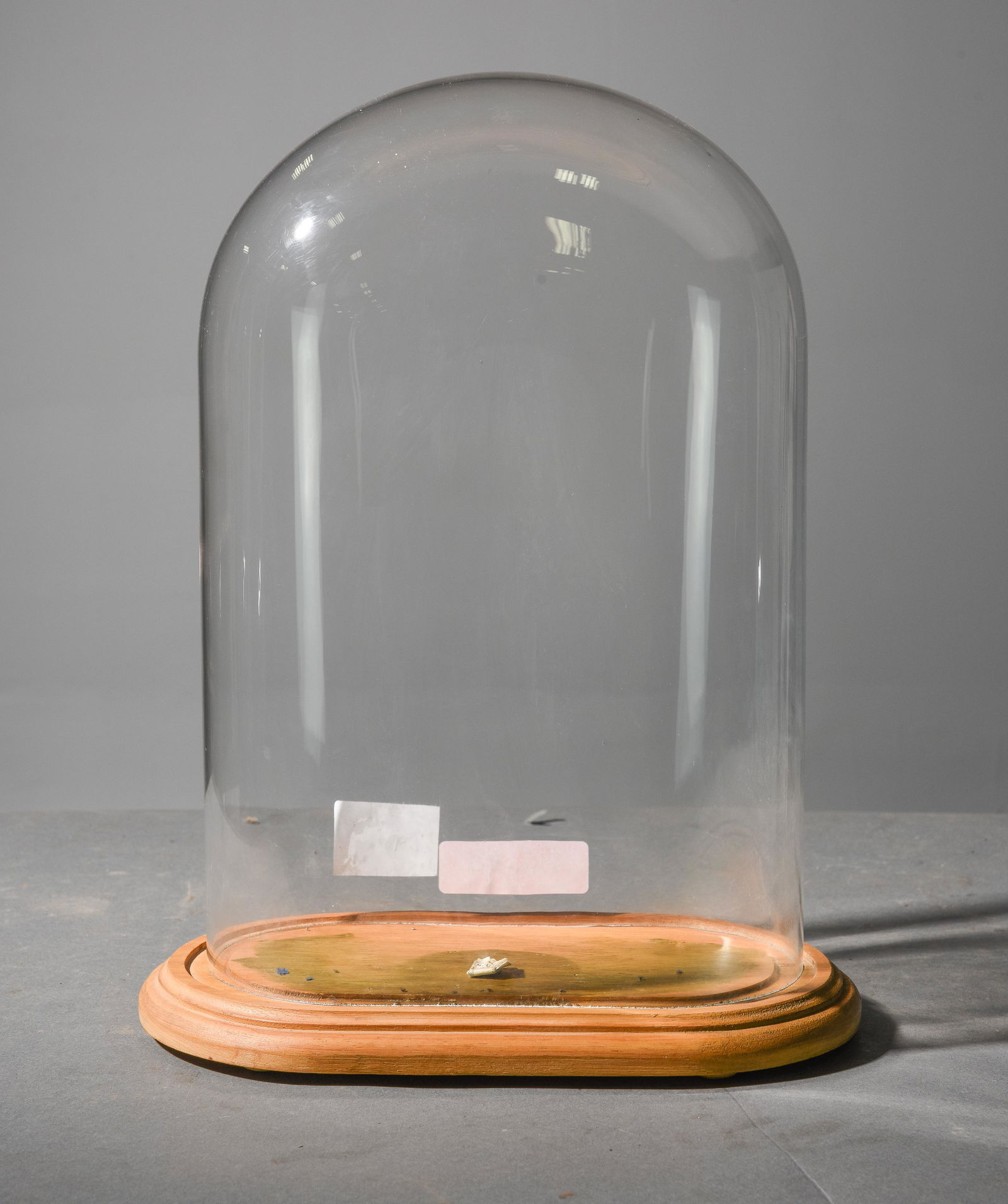 Glass Dome Cloche with Wood Base (1 of 2)