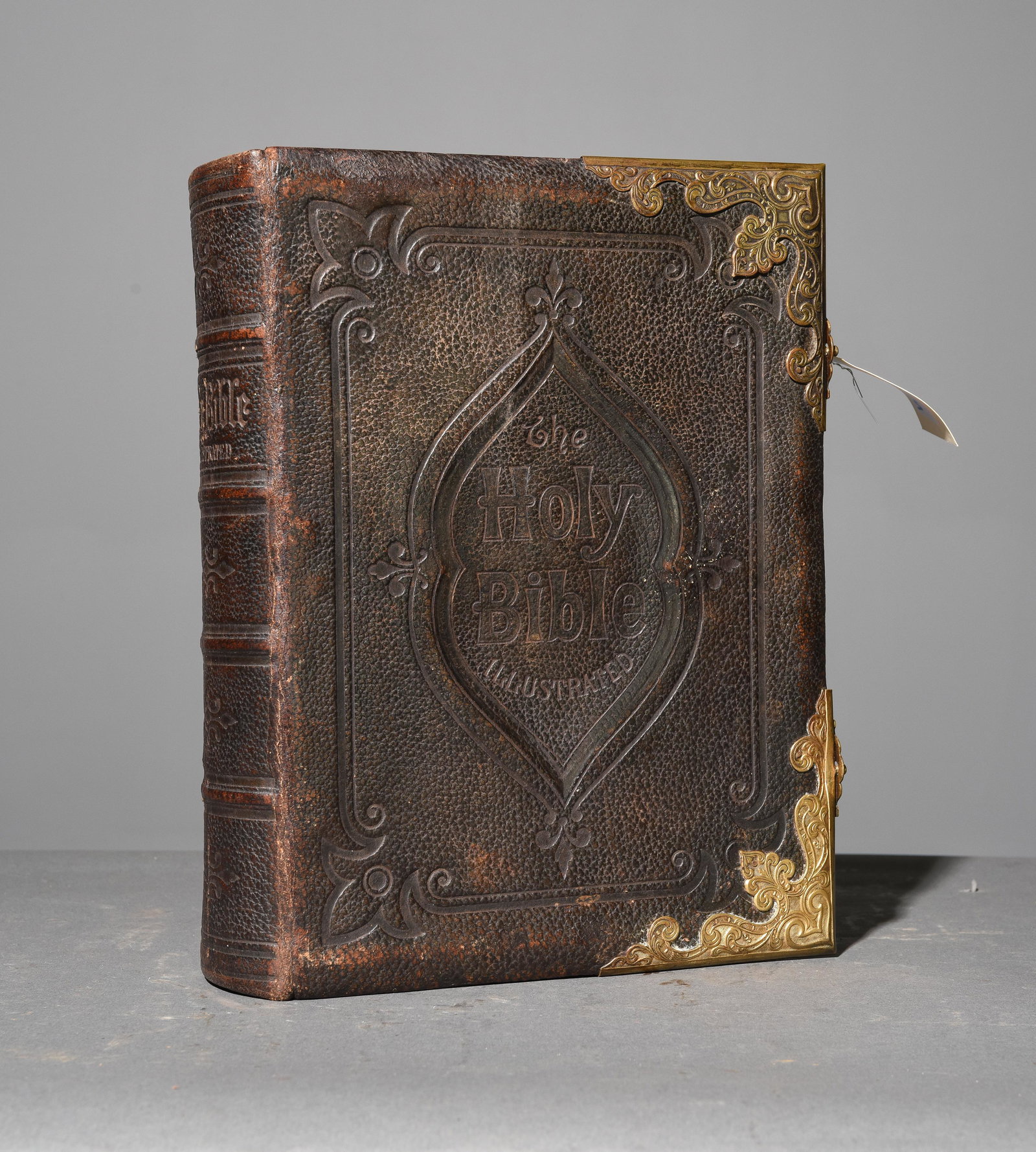 English Browns Self-Interpreting Holy Bible (1 of 4)