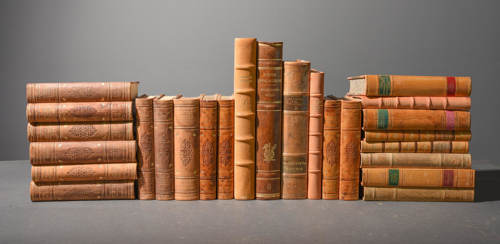 25 European Leather Bound Books #3 (1 of 5)