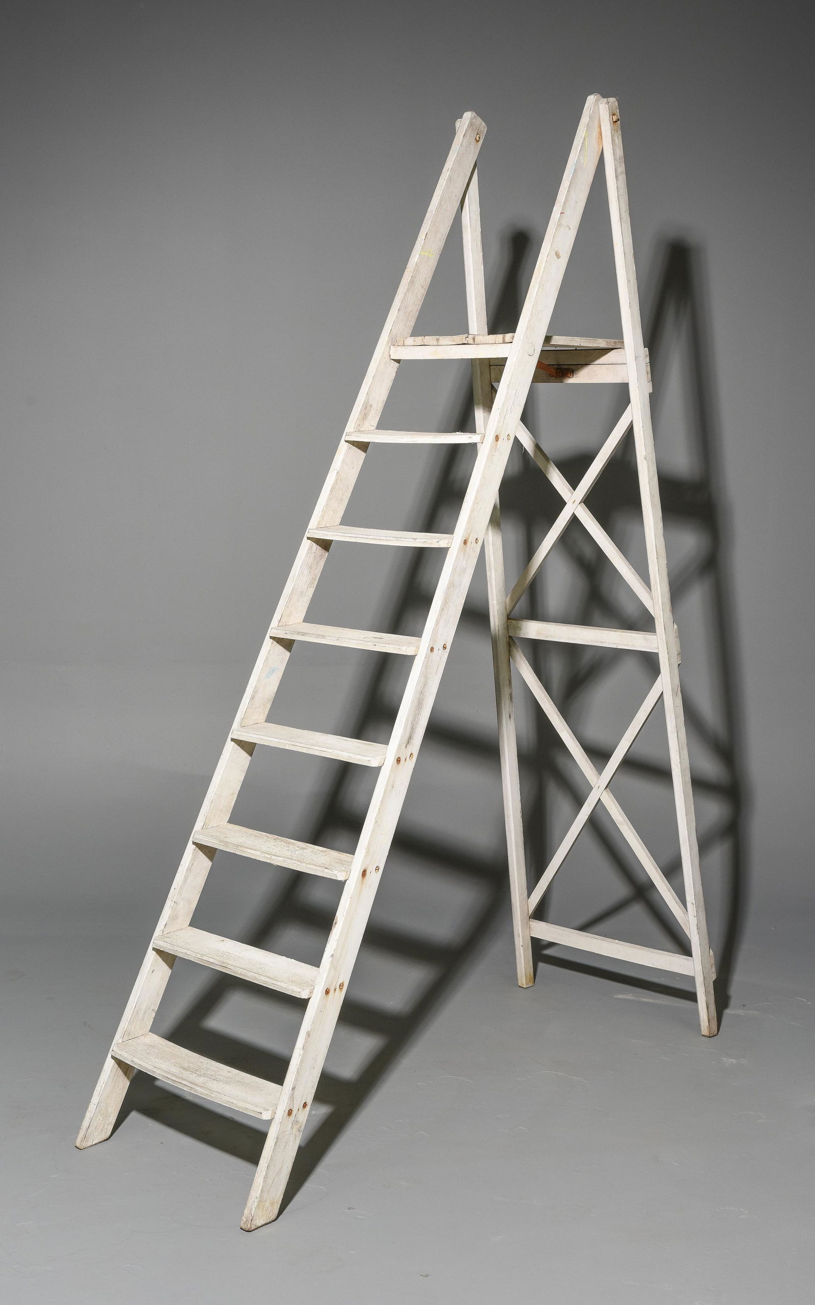 Rustic Painted Ladder (1 of 3)
