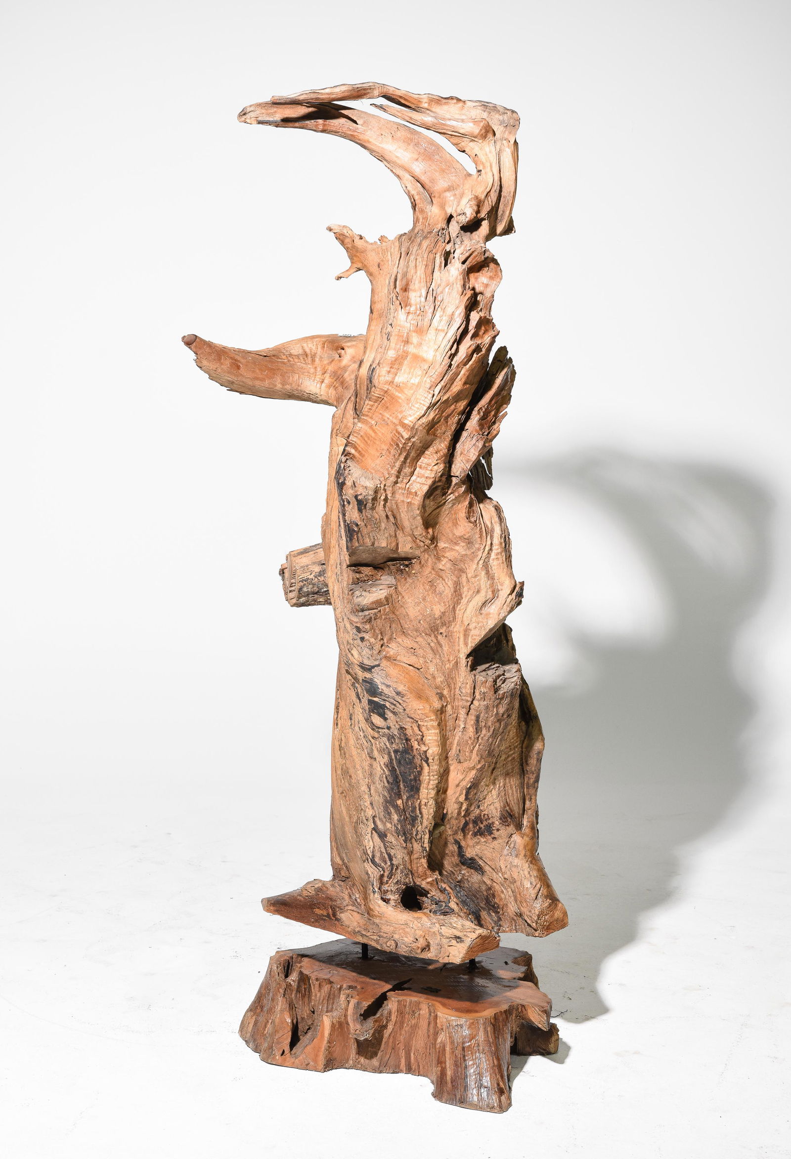 Tall Teak Root Sculpture on Stand (1 of 5)