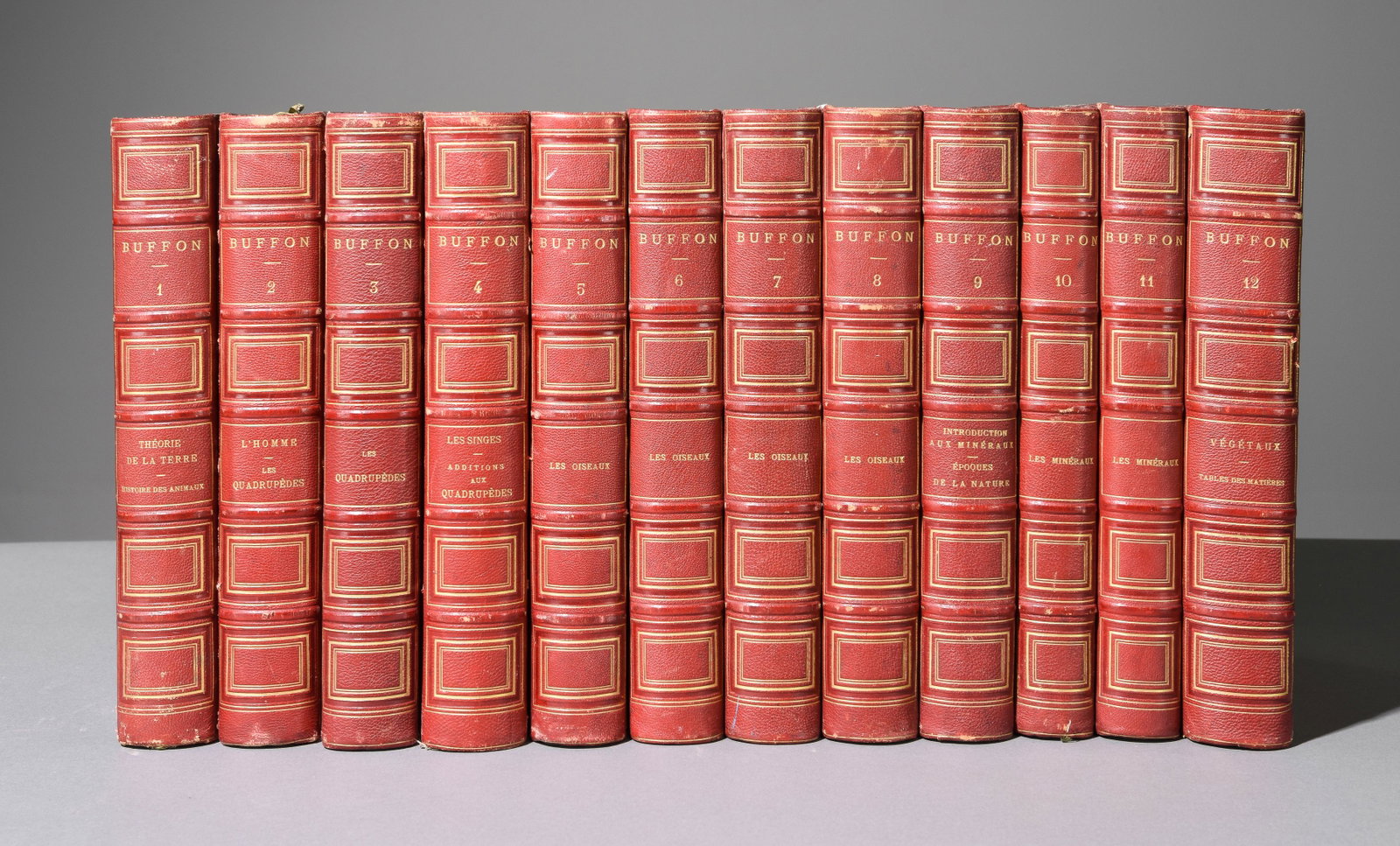 Set of 12 Red Bound European Books: Set of 12 Red Bound European Books - 11 in tall x 7.5 x 2