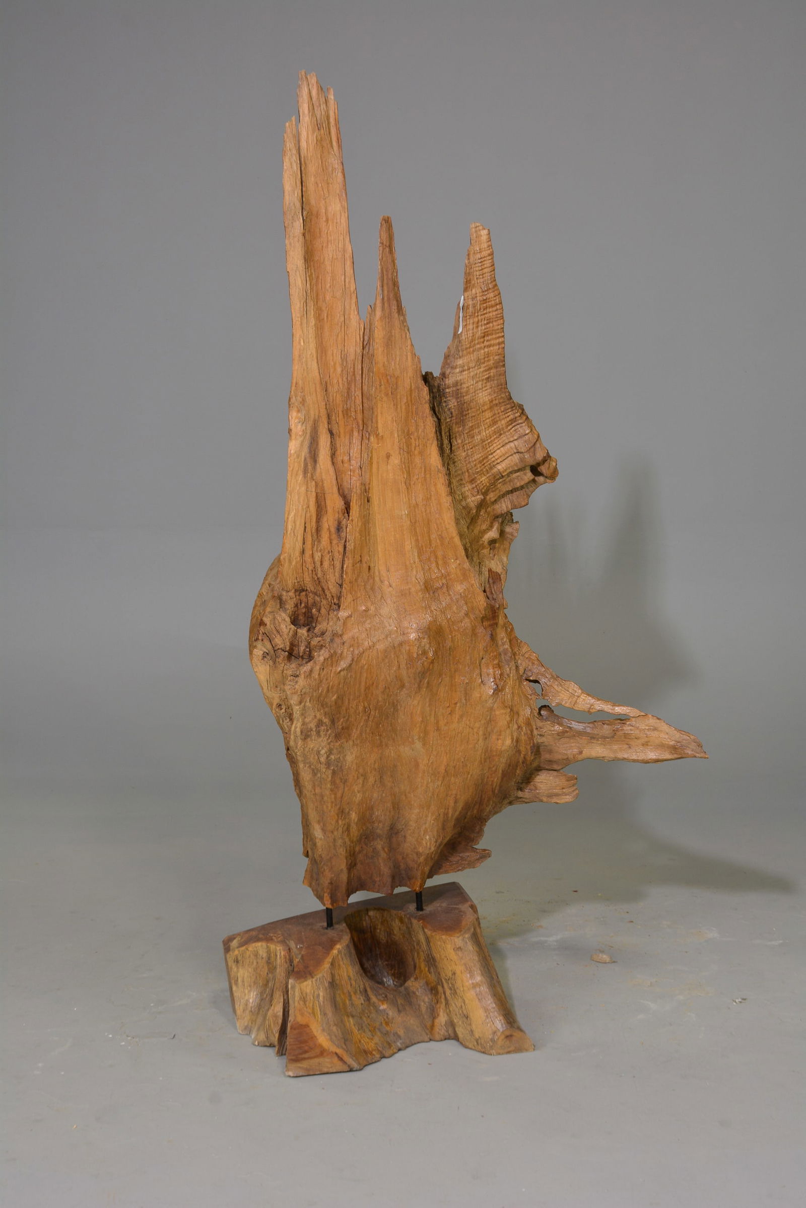 Teak Root Sculpture on Stand #1 (1 of 3)