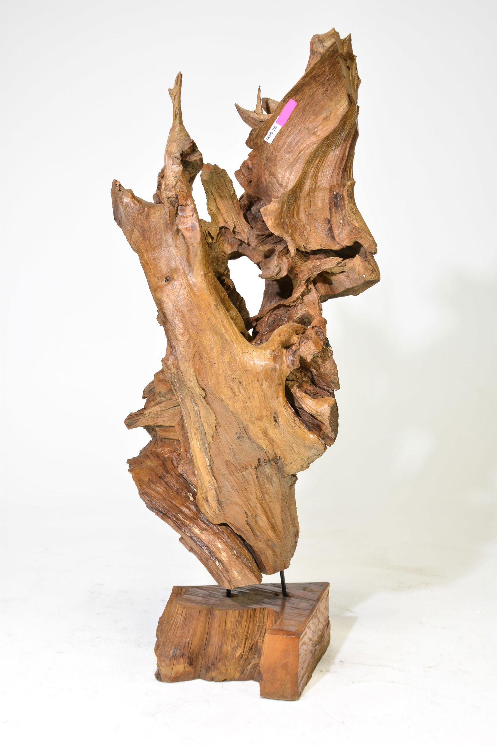 Teak Root Sculpture on Stand #2 (1 of 4)