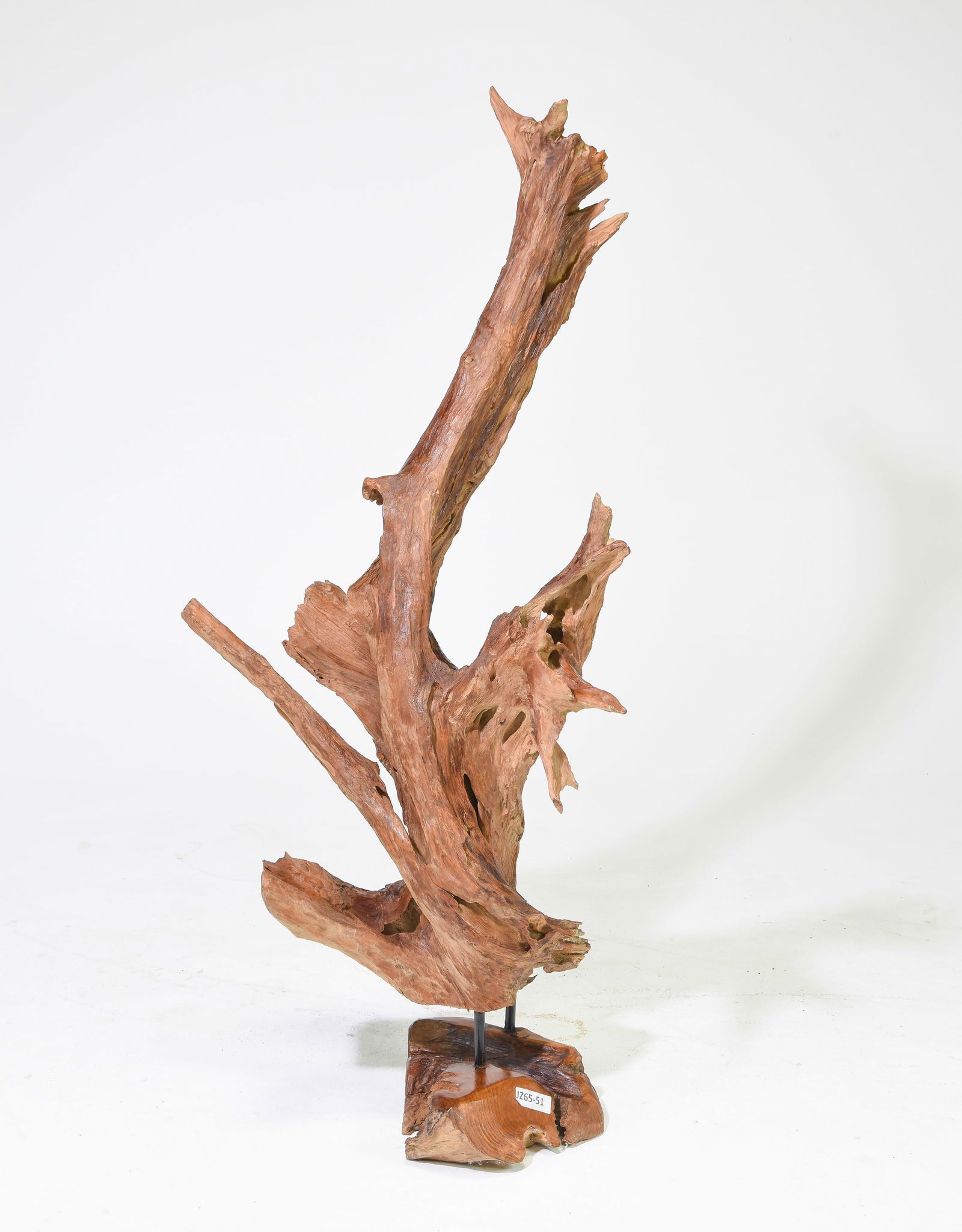 Teak Root Sculpture on Stand #3 (1 of 5)
