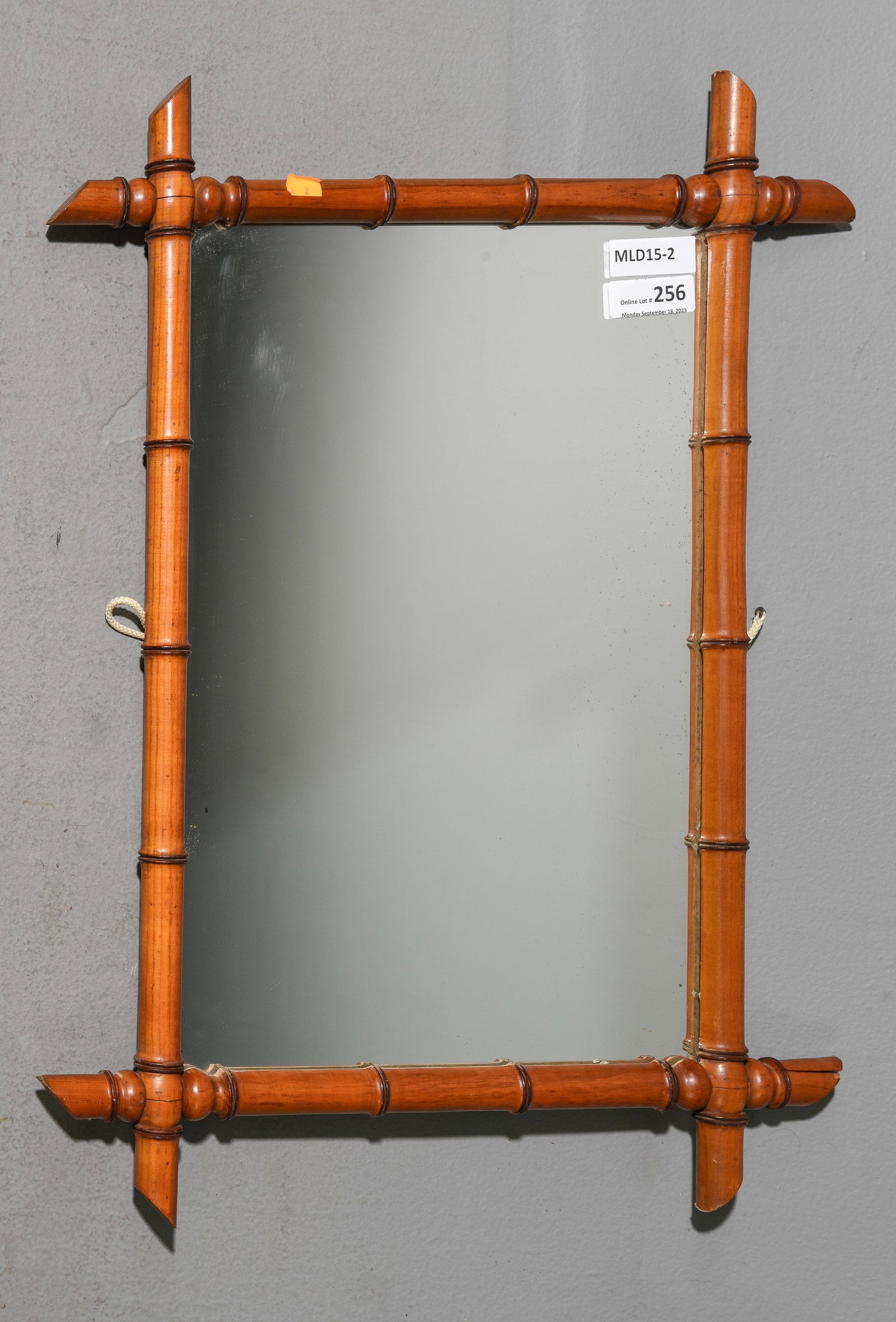 Faux Bamboo Framed Mirror #2 (1 of 4)