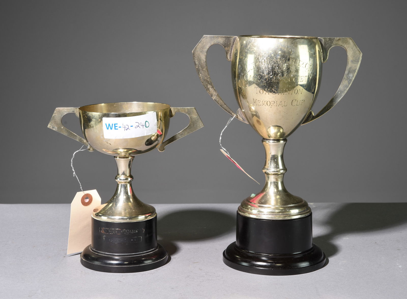 2 Trophies - Ludlow & District and One other (1 of 3)