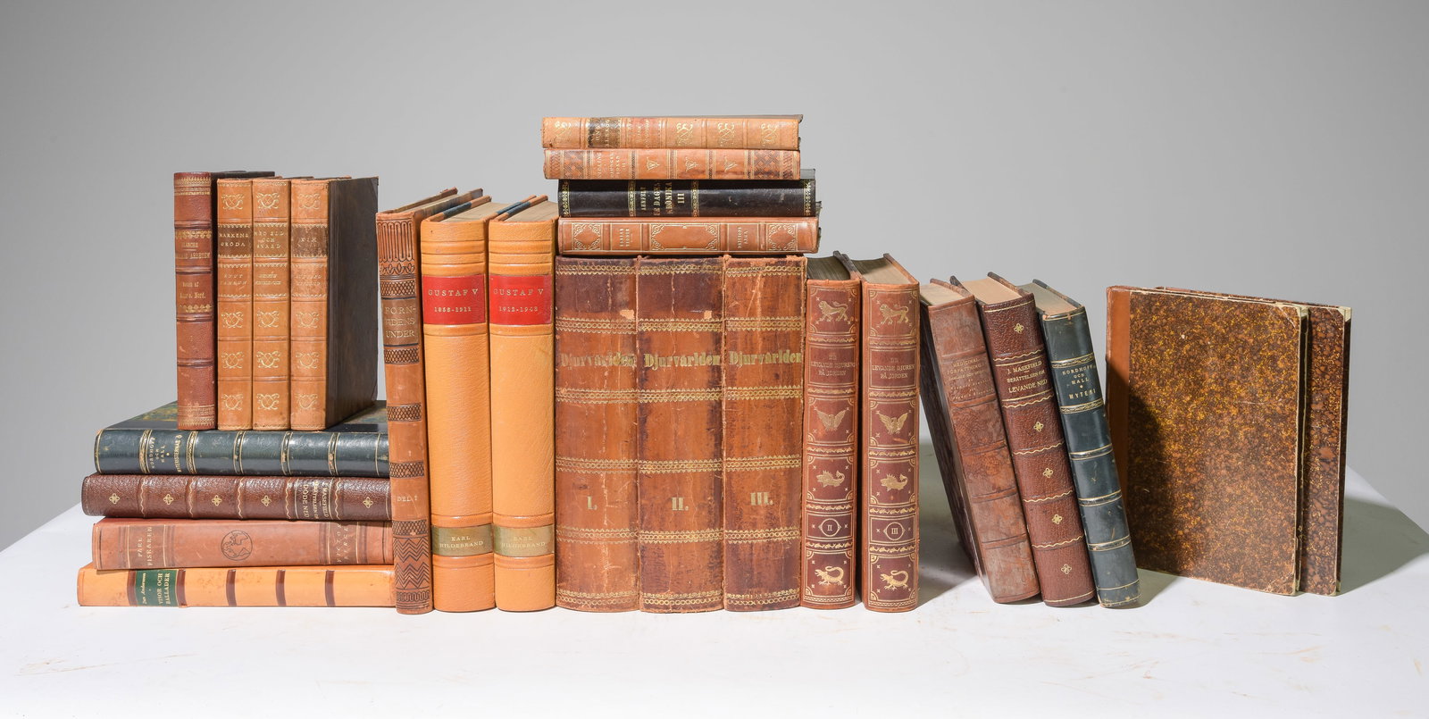 25 European Leather Bound Books #5 (1 of 6)