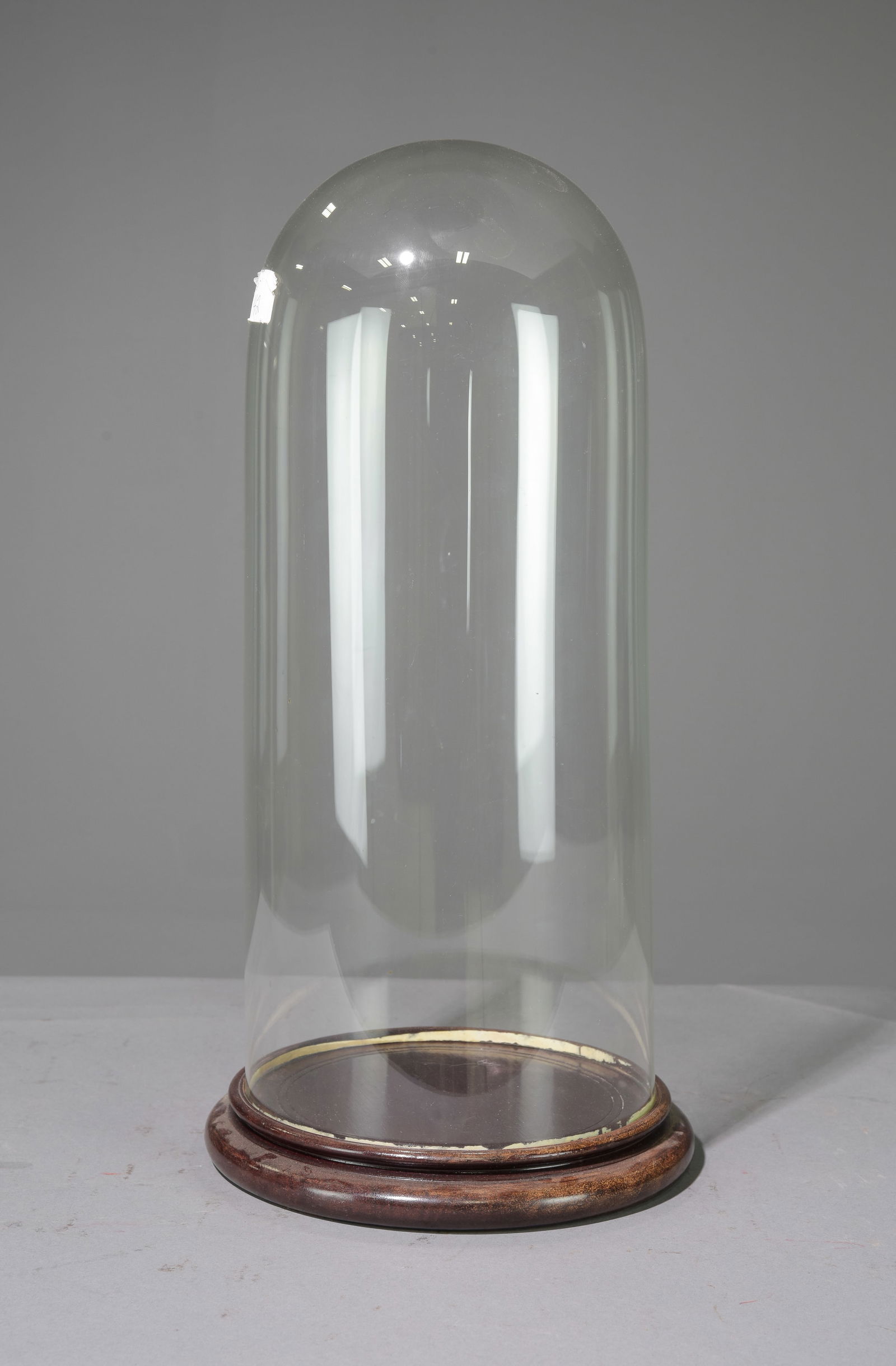 Glass Display Dome / Cloche (1 of 2)