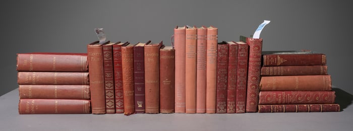 24 Assorted English / European Novels c.1900's
