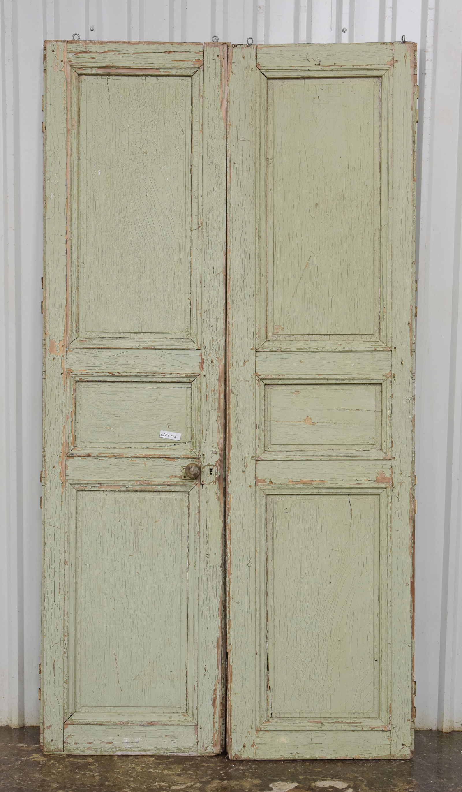 Two Large Continental Painted Doors (1 of 5)