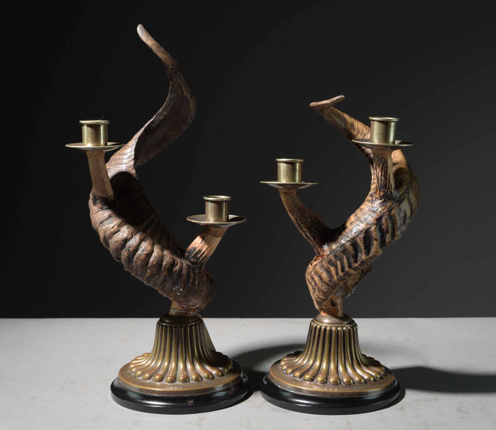 Pair of Faux Ram Horn Candlesticks (1 of 4)