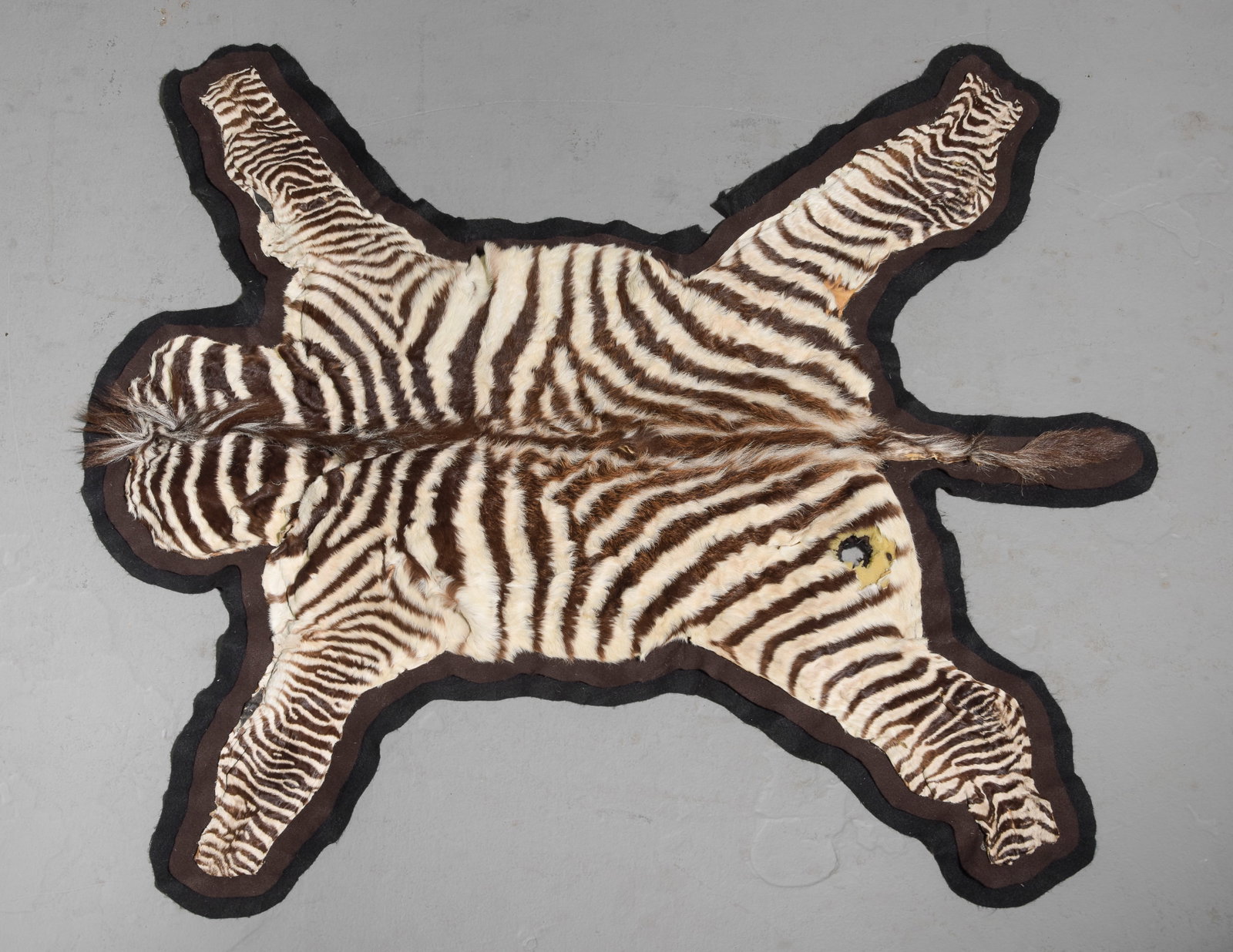 Small Zebra Rug - 4'5 x 4'3: Small Zebra Rug - 54 x 52