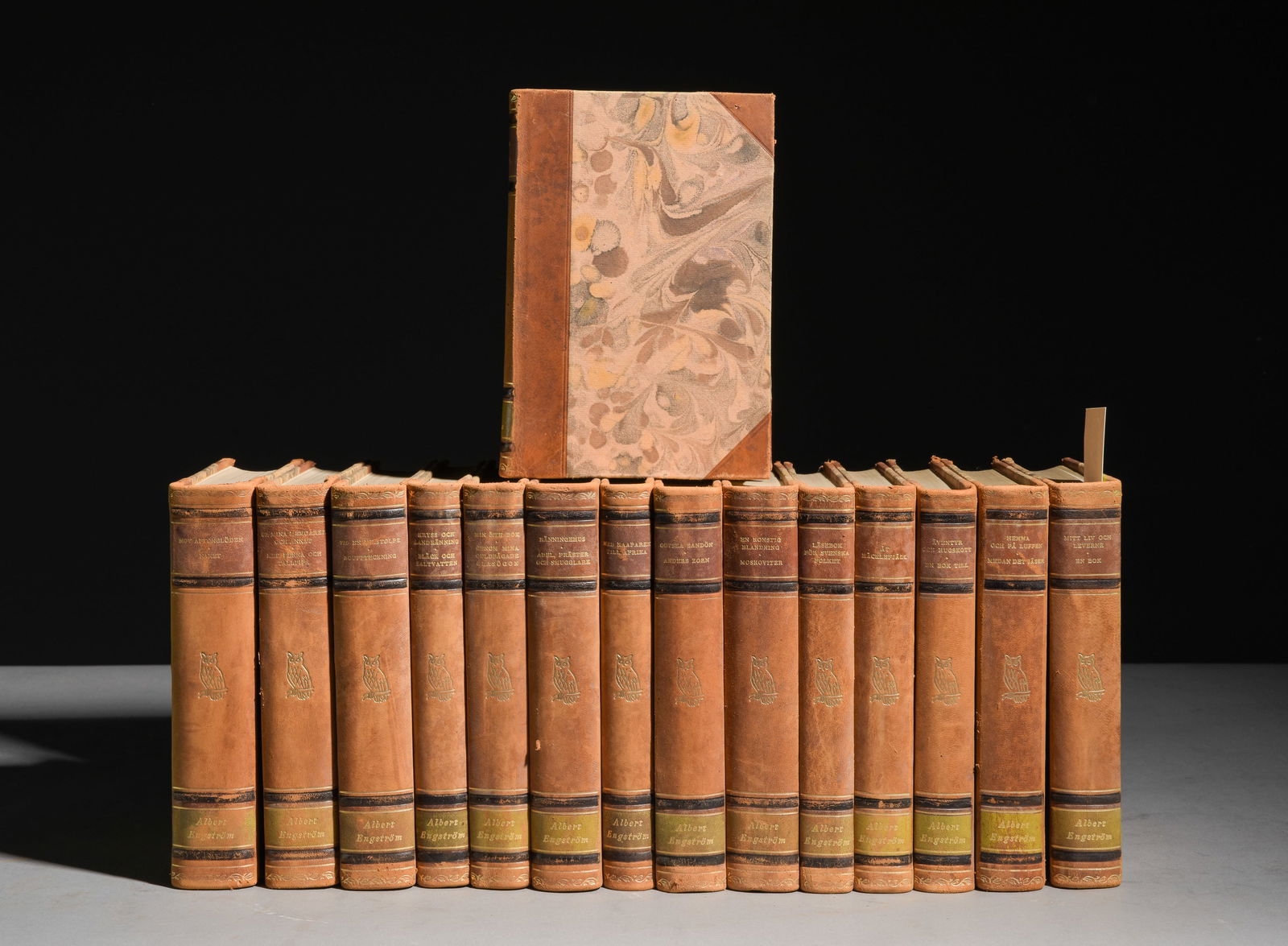 15 Albert Engstrom Leather Bound Novels (1 of 3)