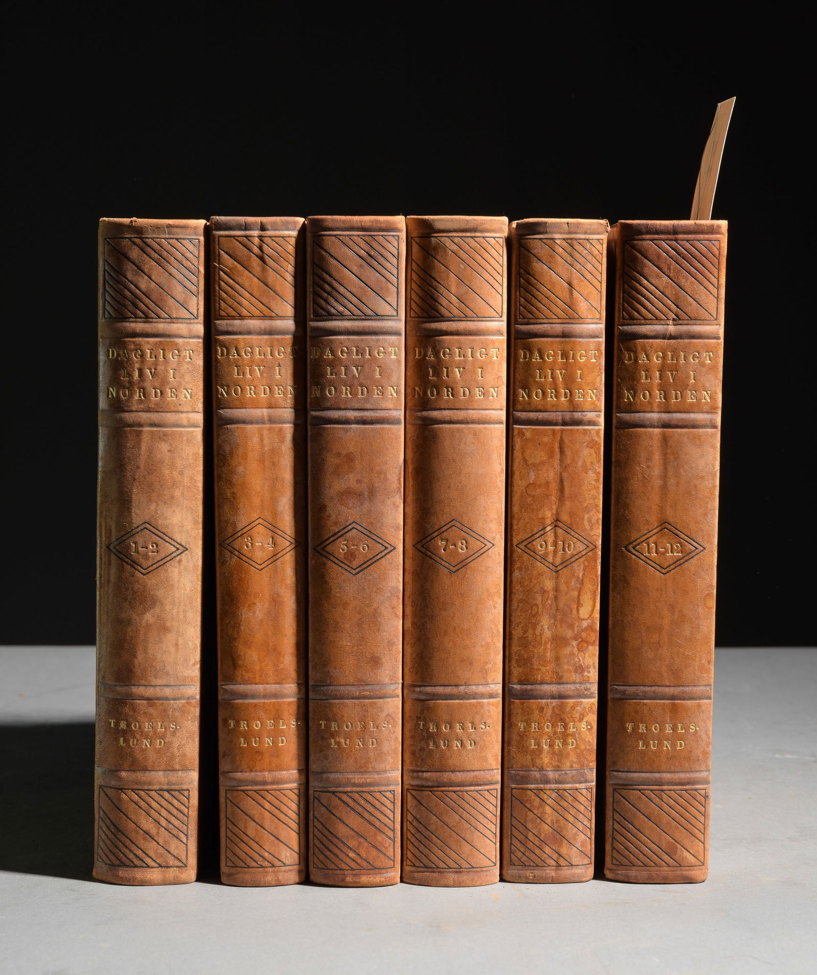 Volume 1-12 "Dagligt Liv I Norden" Leather Bound Books (1 of 5)