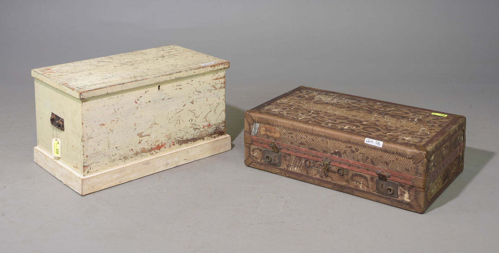 Painted Trunk / Blanket Chest & Faux Snake Suitcase (1 of 4)