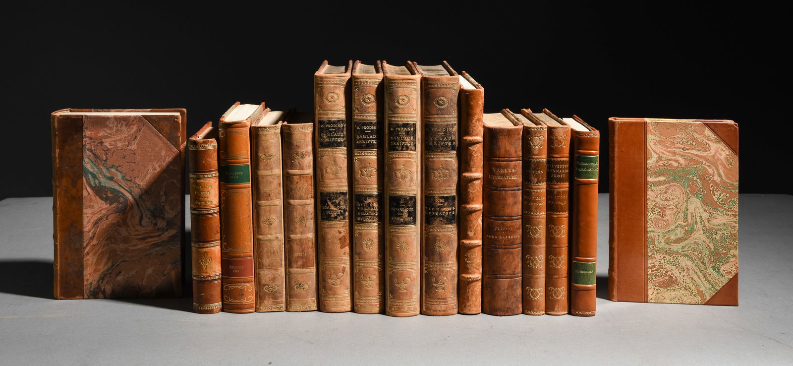 15 European Leather Bound Books / Novels #1 (1 of 6)