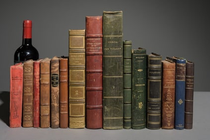 15 Antique Assorted European Books / Novels #2