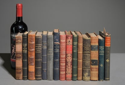 15 Antique Assorted European Books / Novels #3