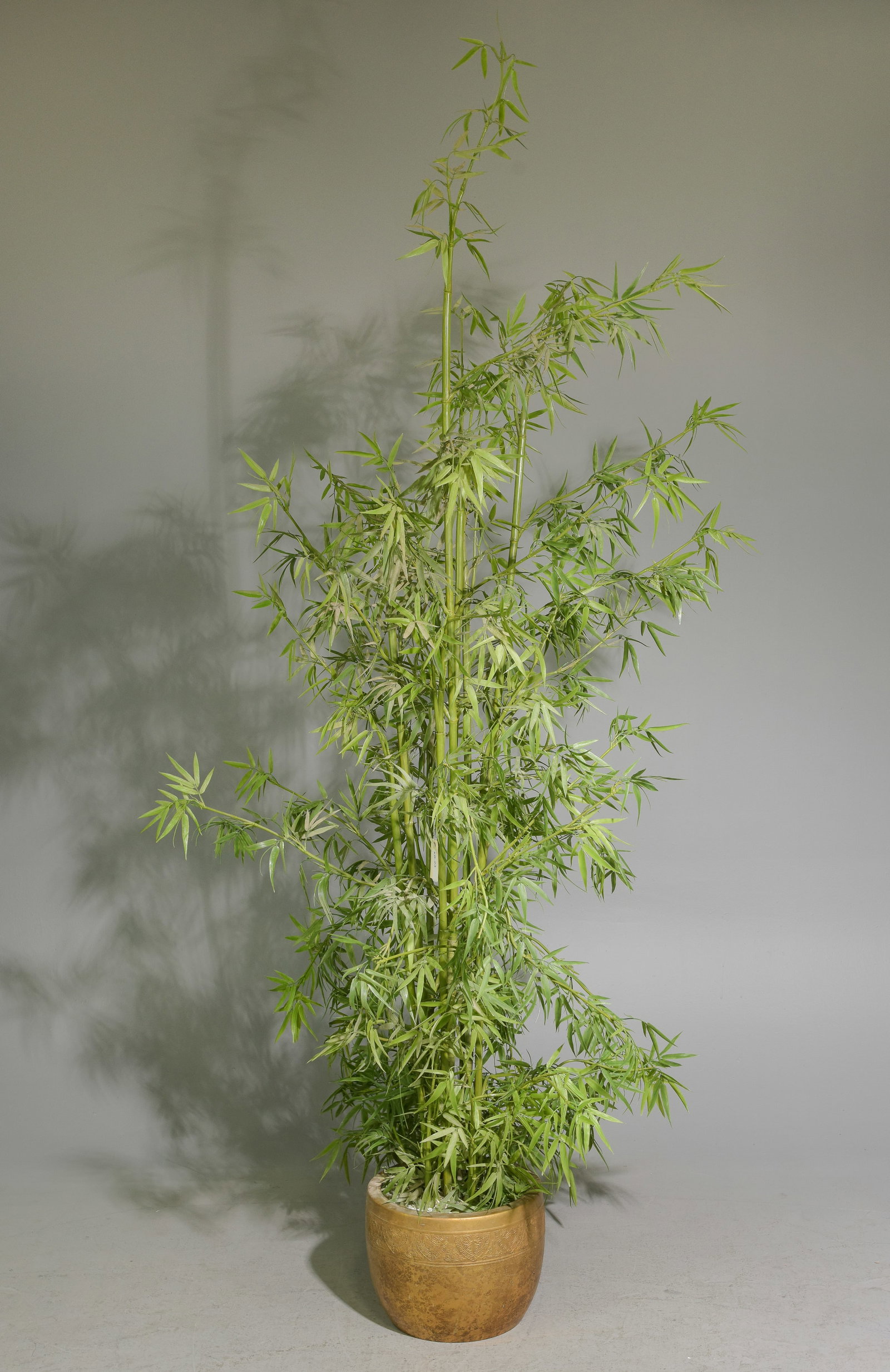 Faux Bamboo Plant in Gold Planter: Faux Bamboo Plant in Gold Planter - 110 in tall x 15.5 x 15.5