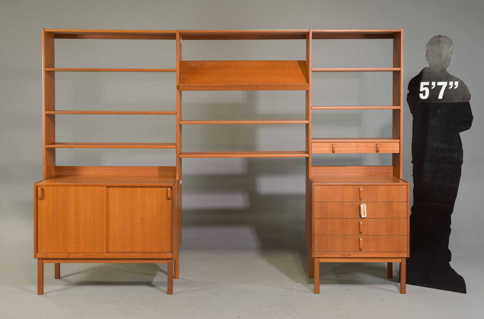 Scandinavian Modern Wall Unit / Bookshelf #1 (1 of 11)